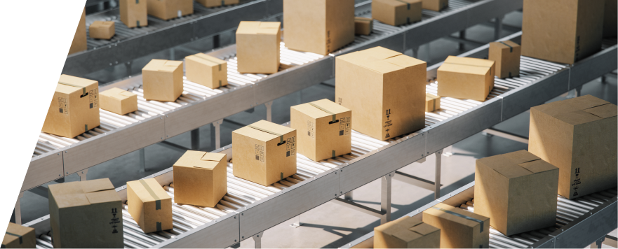 Import Solutions