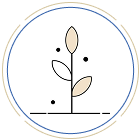Environmental Responsibility