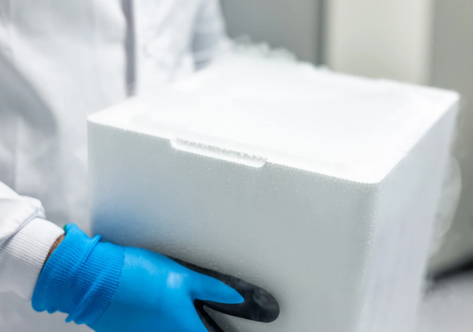 Cold Chain - Courier
